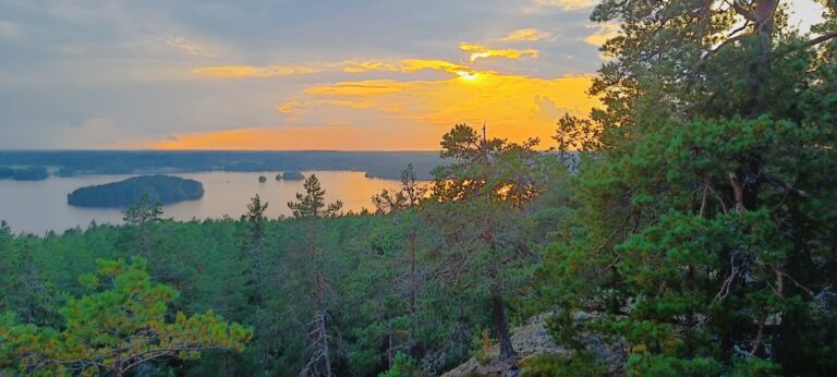 Metsän näkymättömien olinpaikat