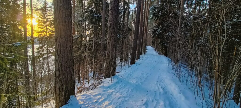 Helmikuussa Hattelmalan harjulla